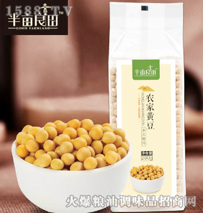 뮀rS290g