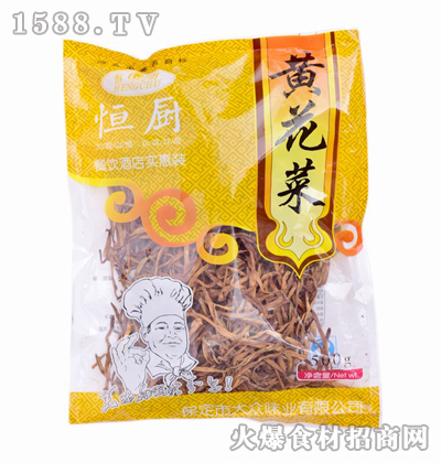 NS500g