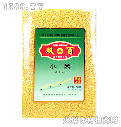 pСס500g