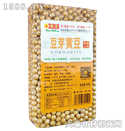 pٶѿS300g