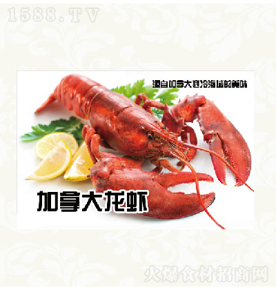ԷʳƷ ôr