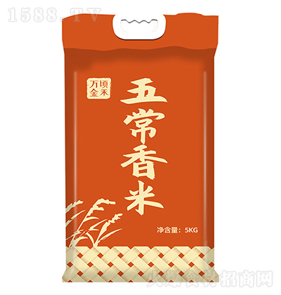 f핽 峣 5kg