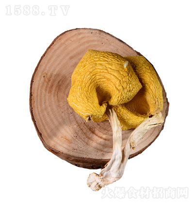 ĝ uS