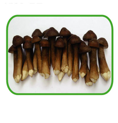  Ƥu 200g