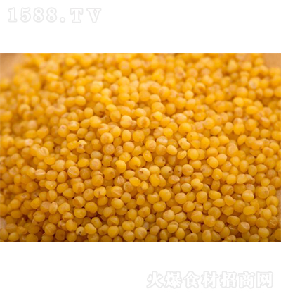 | ƷζС25kg sZZʳ