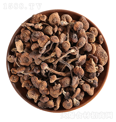 ԴGɫʳƷ LɽĢ500g؛Ʒ
