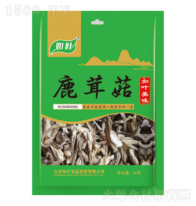 ~¹׹60g ؛ 偰H ϱ؛