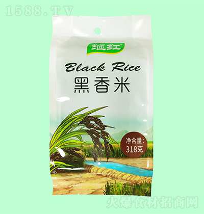 ^t 318g Zʳ
