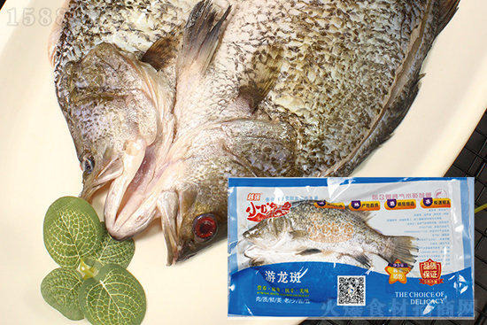 小嗨漁游龍斑,新鮮食材、活魚口感,營養豐富、美味可口!