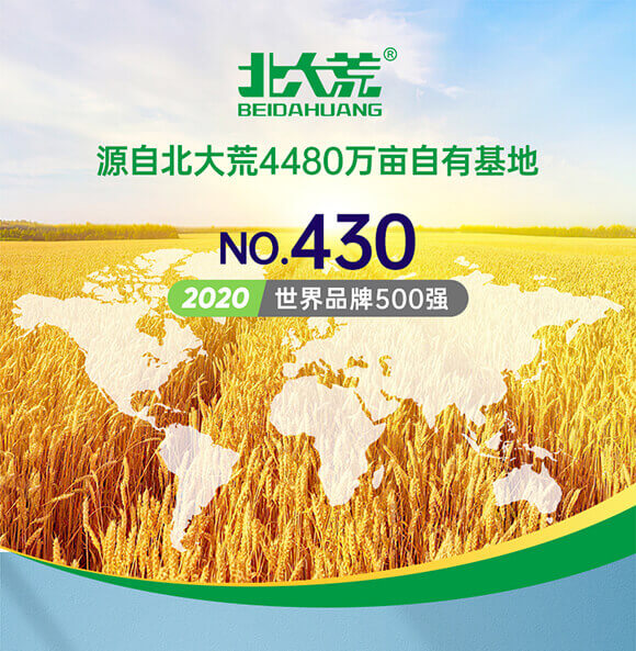 北大荒 雪花小麥粉 5kg